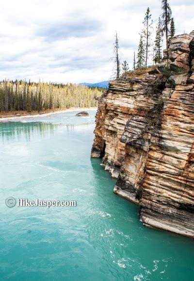 Hike Jasper Athabasca Falls