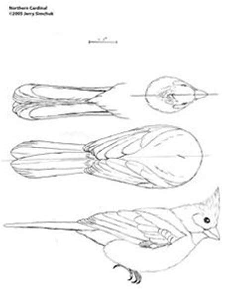 Image Result For Small Bird Carving Patterns Wood Carving Patterns