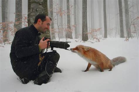 Animals That Are Really Photographers In Disguise 24 Pics