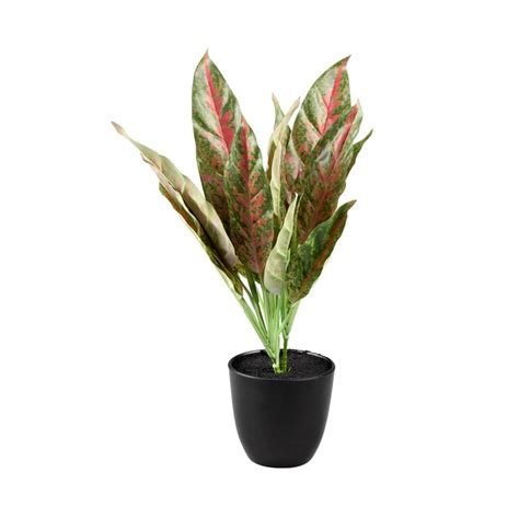 Jual Kris Garden Cm Tanaman Artifisial Aglaonema Sparkling Terbaru Ruparupa