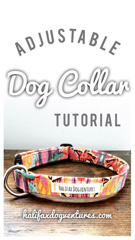20 Diy Dog Collar Tutorials Artofit