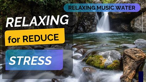 Relaxing Music Water Sounds Of Nature Love Meditation Youtube