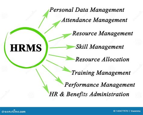 Human Resource Management System Stock Illustration Illustration Of