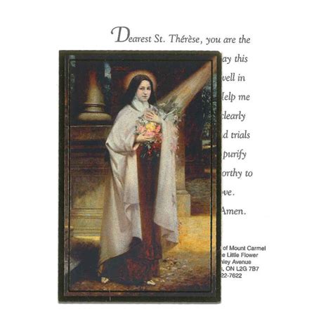 St Therese Healing Prayer Card Society Of The Little Flower Us