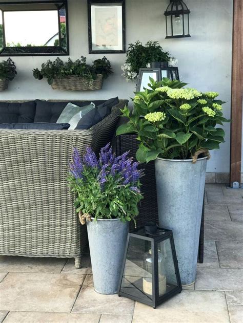 Whether planting in a pot or straight into the ground, remember to break up the roots a bit before inserting the plant into the soil. Beautiful, easy potted plants | Farmhouse patio, Patio ...