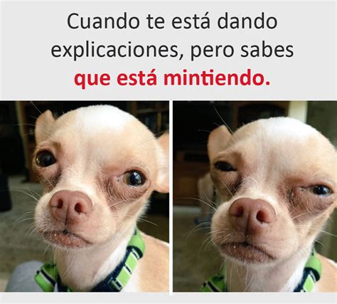 … imágenes para que entiendan lo que les digo. 30 Primeras imágenes graciosas del 2017 - Imagenes chistosas