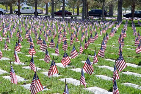 Memorial Day Cemetery Flags Flags Arlington Memorial Cemetery Military