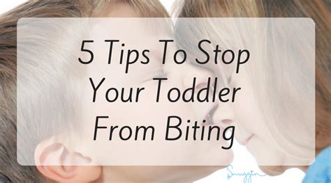 5 Tips To Stop Your Toddler From Biting Snuggin