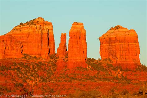 Cathedral Rock Sedona Arizona Photos By Ron Niebrugge