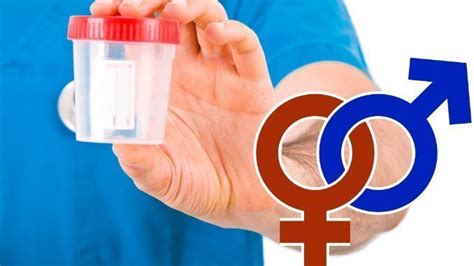 Discover Can Drug Test Detect Gender Of Urine Owner