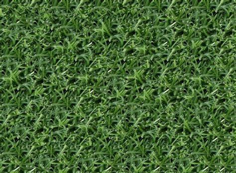 Maybe you would like to learn more about one of these? Tifway 419 Bermuda - King Ranch Turfgrass