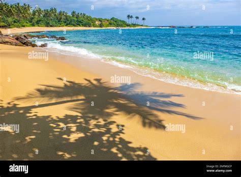 Tropical Sandy Beaches At Goyambokka Near Tangalle On The South Coast