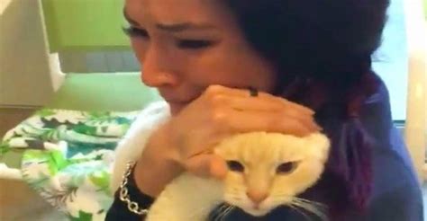 Woman Finds Missing Cat After Searching For Two Years We Love Cats