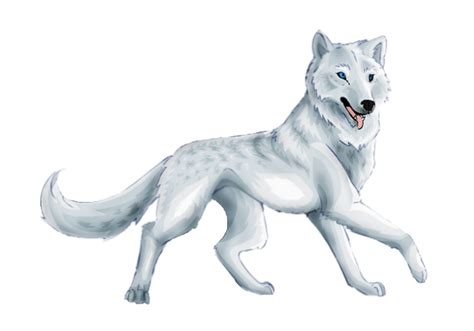 White Wolf Anime Png Anime Wolf Girl Black And White Free
