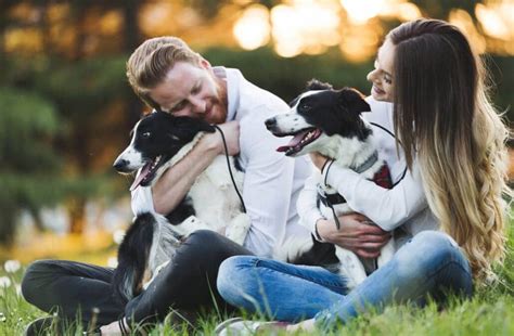 Why People Love Pets Vip Pet Services