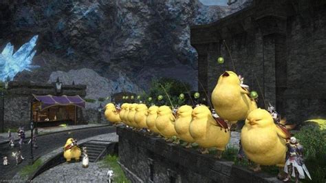 How To Get The Fat Black Chocobo Mount On Final Fantasy Xiv Dot Esports