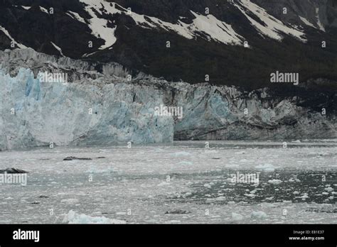 Glacier Bay In Alaska With Nature Glaciers Ice Falling Glaciers And