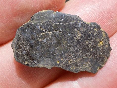 Nwa 10158 Mésosidérite 7 33 G Allmétéorite Pour La Science Et