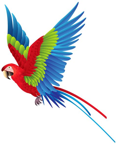 Parrot Clipart Bird Fly Parrot Bird Fly Transparent Free For Download