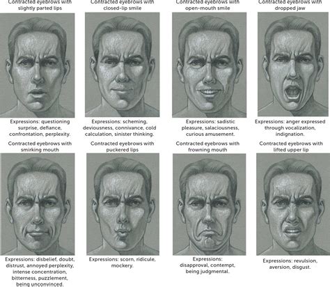 Muscles Of Facial Expression Anatomy Tutorial Part 2