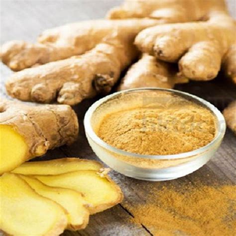 Organic Ginger Extract Exporters Manufacturers Suppliers In India