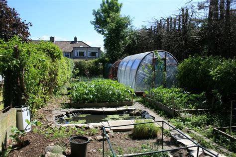Hydroponic tower gardens are becoming popular especially among urban gardeners due to the system's efficiency and small gardening spaces. How to make your own polytunnel | Diy greenhouse plans, Hydroponic gardening, Garden design