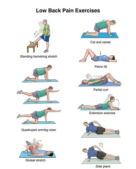 Exercises For Back Pain Chiropractor Mankato