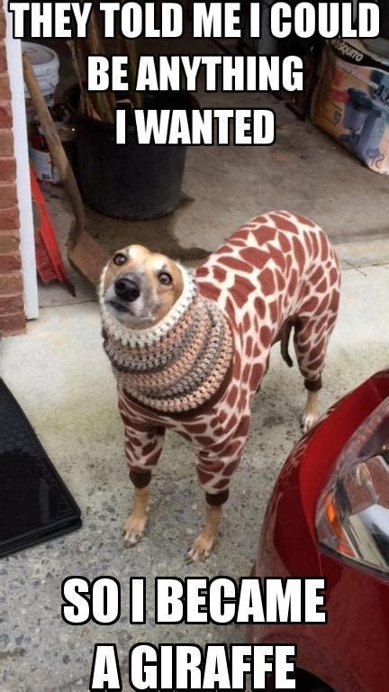 So I Became A Giraffe They Told Me I Could Be Anything I Wanted