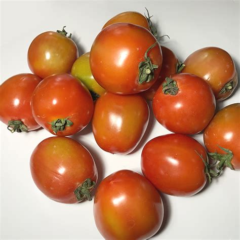Tomato Kamatis 1 Kilo Online Palengke