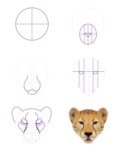 Cheetah Drawing Easy Face Learn How To Draw A Cheetahs Face Big