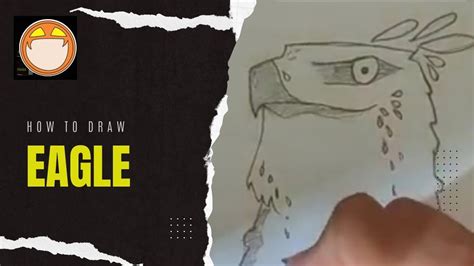 Cara Menggambar Burung Elang How To Draw Eagle Youtube
