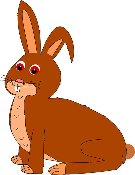 Kanin Tygge Bunny Vildt Gratis Vektor Grafik P Pixabay
