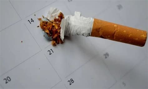 Hasilnya menunjukkan bahwa perokok yang berhenti secara mendadak lebih konsisten tetap berhenti dibandingkan dengan kelompok secara berkala. Berhenti Merokok - Kesan Pada Tubuh Mengikut Garis Masa ...