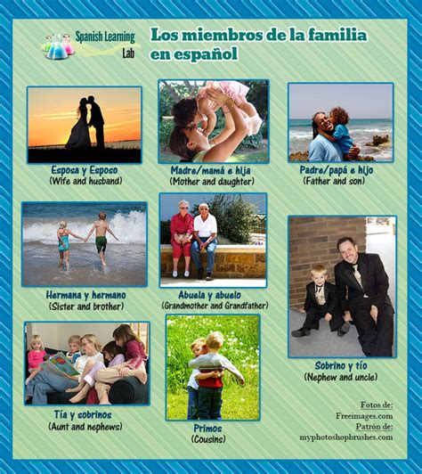 Los Miembros De La Familia En Español Lista Y Oraciones