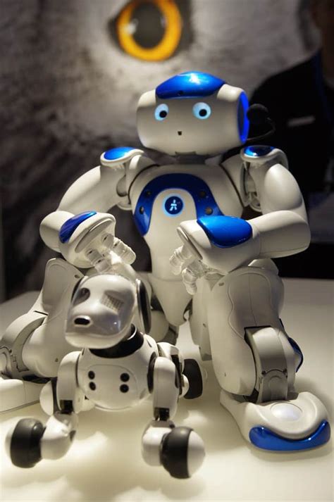 Nao The Robot „impressionen Von Den Auftritten“ Gallery