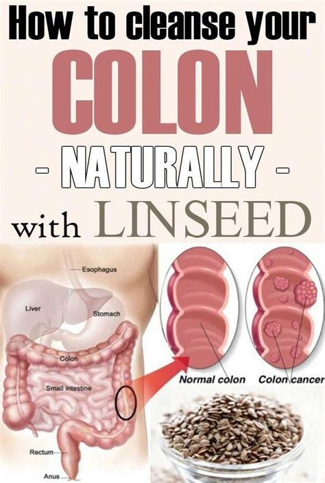 Colon Cleansing Howtocoloncleansetoloseweight Natural Colon Cleanse Colon Cleanse Diet
