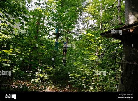 Adventure Park Forest Ropes Course Climbing Forest Climbing Element