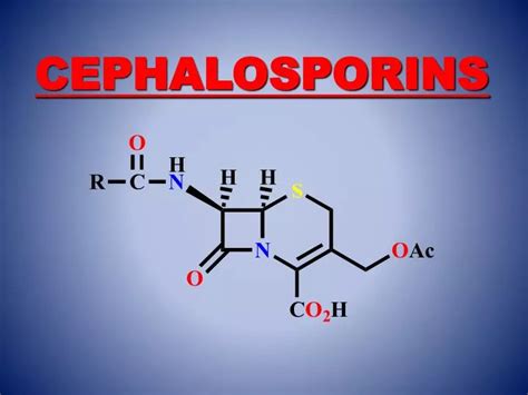 Ppt Cephalosporins Powerpoint Presentation Free Download Id5658436