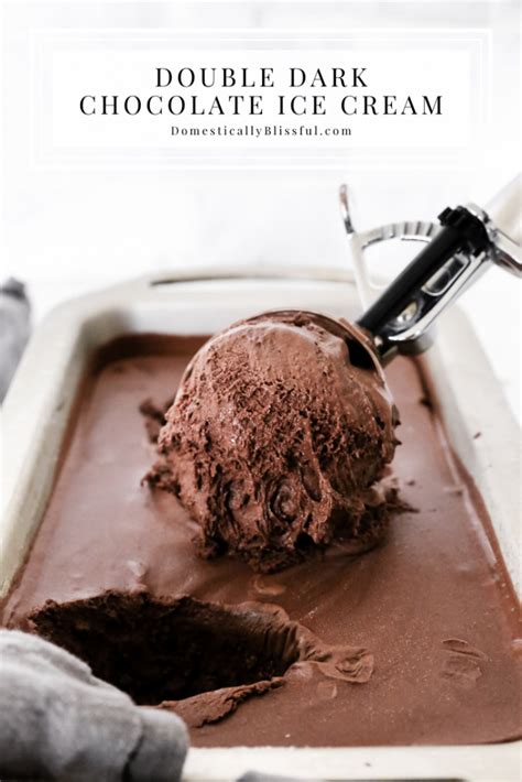 Double Dark Chocolate Ice Cream Domestically Blissful