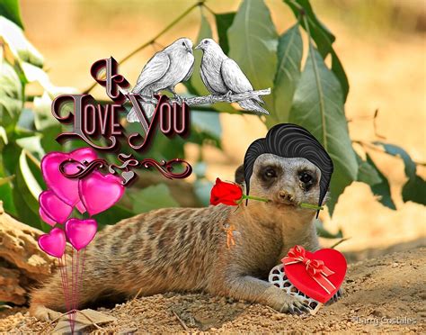 I Love You Meerkat By Larry Costales Redbubble