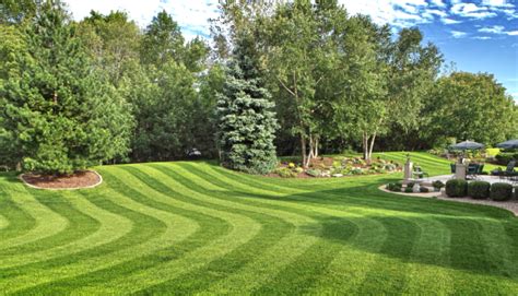 Landscaping Services For The Professional And Residential