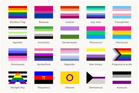 Lgbtq Stolz Flaggen Und Ihr Bedeutung Sexual Identit T Symbole