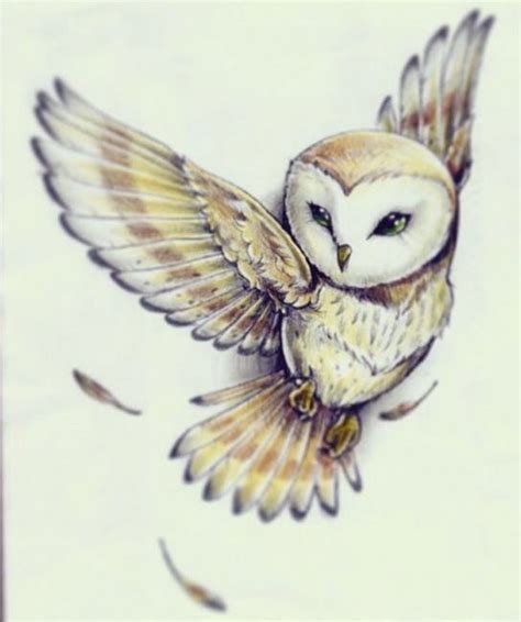 Owl Cute Drawing At Getdrawings Free Download
