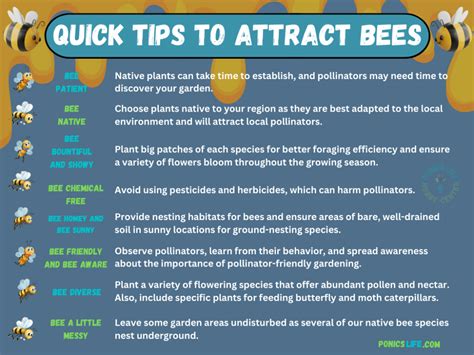 Creating A Pollinator Paradise How To Attract Bees And Other