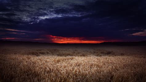 2560x1440 Dark Field Covered By Clouds Sunset 5k 1440p