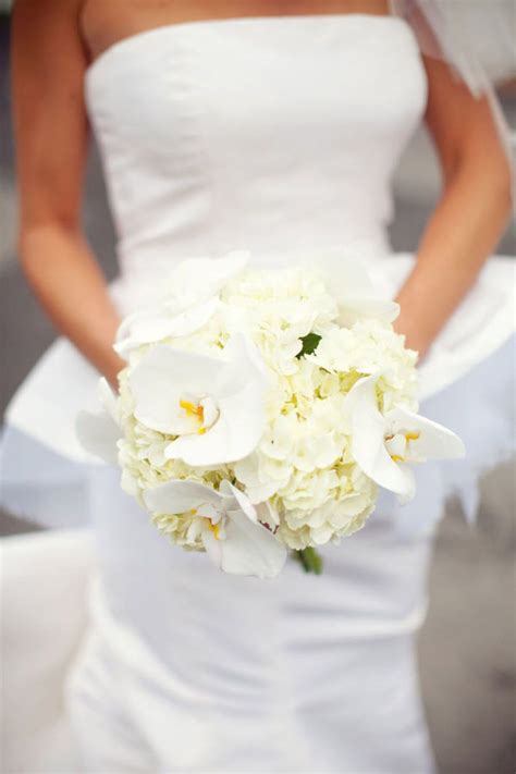 Find your favourite elements so you can infuse it into your special day! Inspired By: Sofia Vergara's Glamorous White Orchid ...