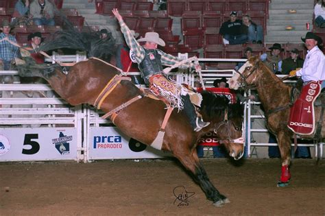 Vold rodeo company, based in southern colorado, produces rodeos in seven states annually while also providing bucking stock for over 100 rodeo performances, including both the largest outdoor rodeo, cheyenne, wyoming, and the largest indoor rodeo, houston, texas. PRCA Wilderness Circuit Rodeo Finals