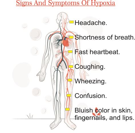 Mechanism Of Hypoxia Signs And Symptoms Free Radical Induced Injury