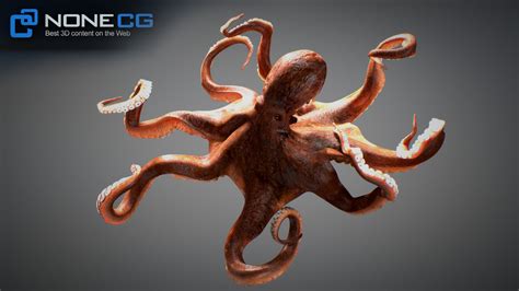 Animated Octopus V D Model By Nonecg