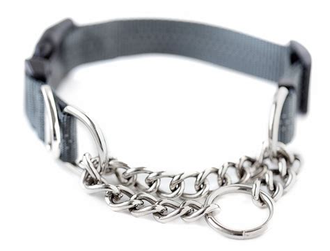 Top 5 Best Martingale Training Collars For Dogs That Pull The Spoiled